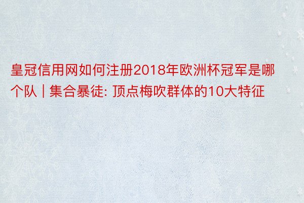 皇冠信用网如何注册2018年欧洲杯冠军是哪个队 | 集合暴徒: 顶点梅吹群体的10大特征