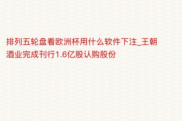 排列五轮盘看欧洲杯用什么软件下注_王朝酒业完成刊行1.6亿股认购股份