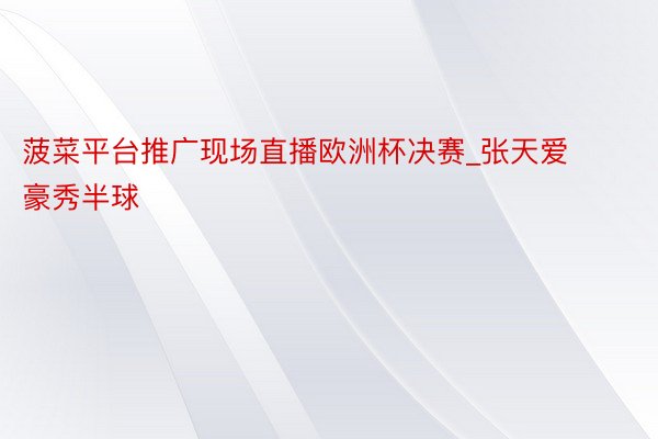 菠菜平台推广现场直播欧洲杯决赛_张天爱豪秀半球