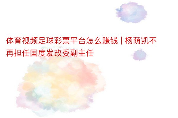 体育视频足球彩票平台怎么赚钱 | 杨荫凯不再担任国度发改委副主任